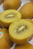 佳沛（zespri）新西兰  阳光金奇异果10粒礼盒巨大果单果约144-175g 水果 猕猴桃 实拍图