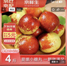 京鲜生 陕西大荔冬枣 净重3斤 单果15-23g 生鲜水果 实拍图