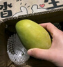 玖原农珍 四川攀枝花凯特芒果净果4.5斤优选芒果200g+ 当季新鲜水果 实拍图