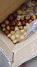 山东沾化冬枣新鲜水果生鲜脆甜冬枣鲜枣青枣小糖丸果园直发整箱 净重4.5斤装（单果8g+) 实拍图