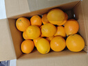 集南鲜 赣南脐橙 江西橙子新鲜现摘水果脐橙时令生鲜水果甜橙 水果礼盒 净重9斤 精品橙 单果160-220g 实拍图
