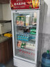 格点 展示柜冷藏大容量饮料柜冰柜商用保鲜超市玻璃门冰箱单门双门立式啤酒柜 单门下机组直冷 318L 实拍图