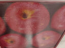 京鲜生 烟台红富士苹果 净重4.2斤 单果160-190g 水果礼盒  实拍图