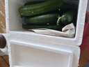 山东寿光水果黄瓜生吃脆新鲜荷兰青瓜当季无刺小黄瓜源头直发 精品水果黄瓜 3斤 实拍图