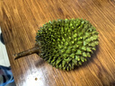 马猫马来西亚猫山王榴莲 生鲜水果液氮冷冻保鲜树熟带壳榴莲D197整个 2.6斤-3斤（保三房肉 新鲜享受） 实拍图