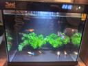 森森金麟超白玻璃鱼缸一体缸自循小型懒人家用水族箱LE-300 实拍图