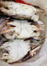 【冷冻】至鲜梭子蟹2.6斤/6-8只整只当季液氮冷冻3-5两/只吕四黄海海鲜螃蟹新鲜 实拍图