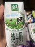 伊利金典纯牛奶整箱 200ml*24盒 3.6g乳蛋白 原生高钙 礼盒装 实拍图