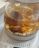 小熊（Bear）养生壶 煮茶壶 恒温水壶 保温烧水一体电热水壶花茶壶 316L不锈钢 1.5L大容量 YSH-J15H8 实拍图