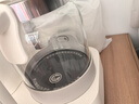 小熊（Bear）全玻璃恒温壶二合一 消毒调奶一体机 奶瓶消毒带烘干1.2L热门商品 实拍图