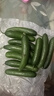 京喜加新鲜无刺水果小黄瓜小青瓜脆甜荷兰脆嫩生吃黄瓜蔬菜 水果黄瓜 2斤 带箱活动 实拍图