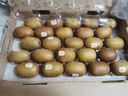 佳沛（zespri）新西兰  阳光金奇异果25-27粒原箱特大果单果约122-146g  猕猴桃 实拍图
