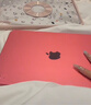 Apple/苹果 iPad11英寸 A16芯片2025年款 平板电脑 (256GB WLAN版/学习办公娱乐)粉色 实拍图