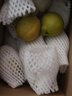 京鲜生 新疆库尔勒香梨 净重5斤 一级 单果100g-120g  生鲜水果 实拍图