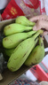 高山香蕉广西产地直发薄皮青果软糯香甜自然熟当季新鲜采摘纯天然 高山香蕉3斤 实拍图