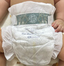babycare金山茶花婴儿纸尿裤mini装XL18片(12-17kg)尿不湿【新老混发】 实拍图