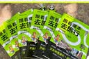 天星2026新版【跟着课本去旅行】疯狂阅读图说课本里的宝藏人物一二三四五六年级小学生同步课本全国通用全彩注音文史地理通识名人素材历史大人物 2026最新版【跟着课本去旅行】趣味游学天下 一年级【同步课 实拍图