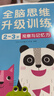 小红花全脑思维升级训练2-6岁幼小衔接教材全套每日一练早教书幼儿启蒙宝宝书籍书识字智力开发练习册邦臣小红花 全脑思维升级训练2-3岁（全2册） 实拍图