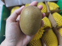 佳沛（zespri）新西兰  阳光金奇异果16粒礼盒经典果单果约 77-103g 水果 猕猴桃 实拍图