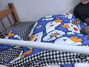 艾薇 单人床三件套床单被罩被套宿舍三件套 小萌鸭 被套150*210cm 实拍图