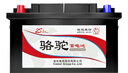 骆驼(CAMEL)汽车电瓶蓄电池6-QW-45(2S) 12V北京现代东风本田上门安装 实拍图