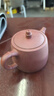 百年利永宜兴紫砂壶纯全手工原矿紫泥泡茶壶功夫茶具竹节汉铎一壶两杯套装 竹节汉铎 240ml 原矿紫泥 实拍图