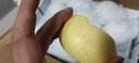 京鲜生 长城晋州鸭梨 地标产品 净重10斤 单果200g+ 生鲜水果礼盒 实拍图
