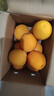 京觅江西赣南脐橙 5斤 单果220g+ 新鲜水果生鲜应当季橙子 源头直发 实拍图