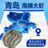 渔游记（YUYOUJI）鲜冻国产青岛大虾25-30只/斤净重3.6斤大虾对虾青虾海虾生鲜 虾类 实拍图