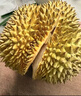 田良季正宗泰国金枕榴莲【多地次日达】新鲜金枕头带果带壳水果送礼品物 4-5斤丨包4-5房丨精选果 50年老树果【人工严选】 晒单实拍图