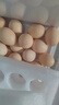 德青源鲜鸡蛋 无抗生素无激素  优质蛋白 营养早餐 生鲜鸡蛋 农场鲜供 舌尖攻略谷饲40枚1.72kg 实拍图