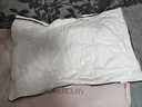 水星家纺枕头枕芯酒店枕头护颈枕头芯家用一对纯棉抗菌可水洗中枕48x74cm 实拍图
