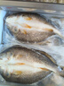 仙泉湖三去斑点尾鲈鱼1斤单条净膛后冷冻肉厚刺少 海鲜水产生鲜食材 实拍图