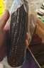 十月稻田 黑糯玉米 3.52斤（220g*8根）东北紫玉米 早餐零食 低脂饱腹 实拍图
