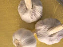 山东金乡蒜大蒜出口标准精选大蒜头蔬菜调料单果5cm 网兜装袋5头 150g 5-5.5cm特大 实拍图