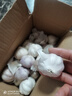 【热卖中】正宗紫白皮干大蒜农家大蒜头清仓批发商用便宜新干蒜 【带箱2斤，净重1.6斤以上】品质大蒜中果4-5cm 实拍图