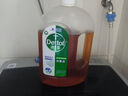 滴露（Dettol）洗衣消毒液衣物消毒水750mL除螨 家居地板杀菌 非84甲流感 实拍图