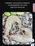 京东超市 海外直采厄瓜多尔白虾 盐冻 净重4斤 60-80只/盒 自营火锅食材 实拍图