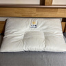 皇朝家私枕头枕芯 泰国乳胶颈椎枕睡眠深度抑菌防螨枕头芯家用中枕一对拍2 实拍图