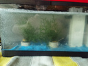 阔庭（KUOTING）鱼缸一体缸自循环免换水鱼缸家用小型桌面鱼缸生态鱼缸小鱼缸黑色 实拍图