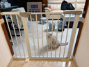 【京东快递】宠物狗狗围栏栅栏栏杆室内防挡猫门栏猫拦狗笼隔离门 【加厚加密】适用宽度97-104cm 078高 实拍图