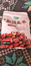 十月稻田 新疆灰枣 500g 若羌红枣 小枣 休闲零食 干果 泡水煮粥补气血 实拍图