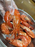 鲜京采 鲜冻大号黑虎虾 去冰净重2斤 31-40只/盒 斑节对虾 实拍图