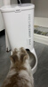 小佩智能自动喂食器SOLO白色 猫碗猫狗喂食器定时定量猫咪自动投食器 实拍图