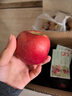 京鲜生 天水花牛苹果 净重4.5斤 单果170g+ 生鲜水果源头直发 实拍图