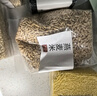 味道川川糙米五谷杂粮250g玉米黄小米八宝粥糯米燕麦胚芽黑米饭团豆浆原料 糯米 250g*1袋 实拍图