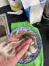 美加佳三去小章鱼净重2斤（500g*2袋）16-26只 去脏八爪鱼  实拍图