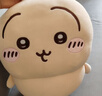 名创优品（MINISO）chiikawa大号站姿公仔毛绒玩偶玩具抱枕靠枕生日礼物女 乌萨奇 实拍图