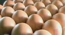 德青源A+级鲜鸡蛋64枚6.4斤起 无抗生素 健身食材 营养早餐礼盒装 实拍图