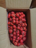 甜红子山楂樱桃小山楂鲜果山里红糖葫芦糖雪球新鲜孕妇水果现摘 【净重4斤】中大果 单果6g+ 实拍图